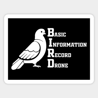 birds arent real Magnet